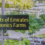 5 Benefits of Emirates Hydroponics Farms