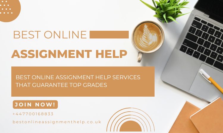 Best Online Assignment Help