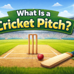 What Is a Cricket Pitch?