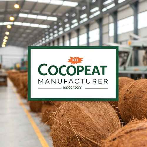 Trusted Cocopeat Manufacturer for Sustainable Growing Media