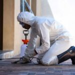 Consistent Pest Control Markham strategies help protect your home year after year.