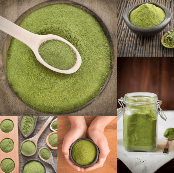 A Sustainable Supply Story Around moringa bulk Cuba for Global Wellness