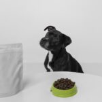 Best Pooper Scooper: The Ultimate Guide for Clean, Stress-Free Pet Waste Management