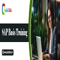 SAP Basis Training
