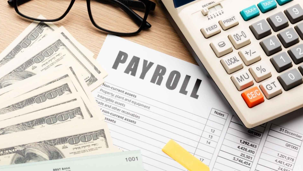 Operational Excellence Through payroll outsourcing companies in India for Modern Enterprises
