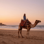 Experience a Sunset Camel Ride in Essaouira الصويرة