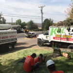 K & C Tree Service Experts – Professional Tree Services in Salt Lake City, UT