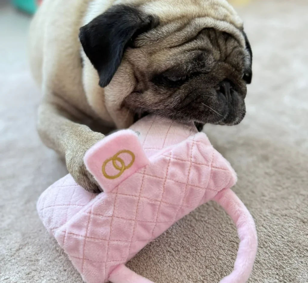 Pet Christmas Gifts UAE by Paw Maison