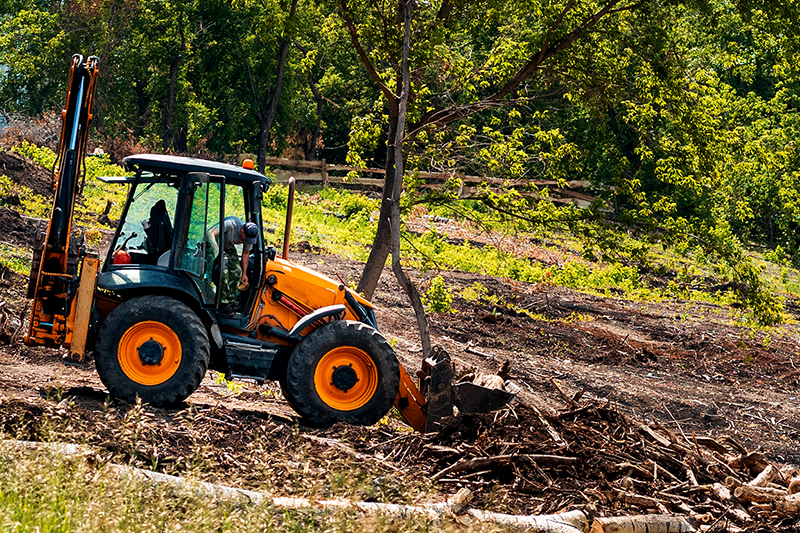 What Is Land Clearing And When Is It Necessary?