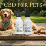 Supporting Your Companions with CBD Pets Products