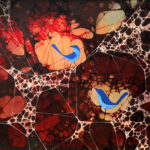 Looking for a new window