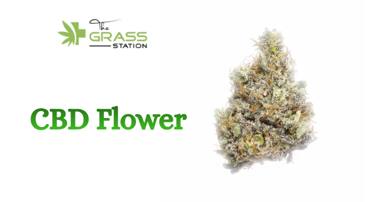 Discovering Quality Botanical Options: Your Guide to CBD Flower Near Me
