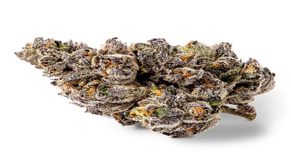 Jokerz Seeds: High-Quality Feminized Seeds | Gelato Seeds