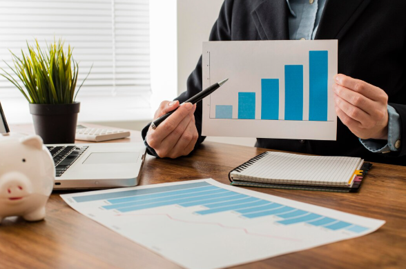 annual company return