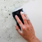 When Is It Safe to Clean Mold Yourself vs Calling an Expert
