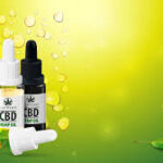 How to Identify Premium CBD Edibles in a Crowded Market