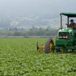 Agricultural CPA tax specialist California