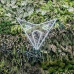 Jardín Vertical Preservado