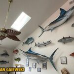Sailfish Half Mounts – Stunning Fish Reproductions for Your Wall