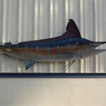 Premium Replica Fish Mounts: Durable Fiberglass Fish Replicas Guide