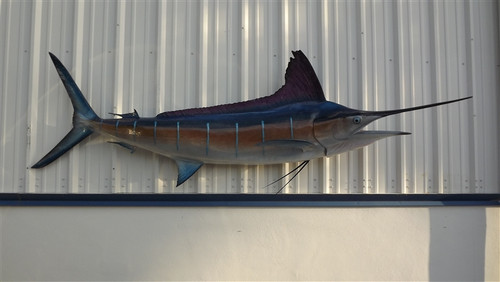 Premium Replica Fish Mounts: Durable Fiberglass Fish Replicas Guide