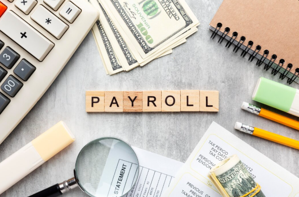 Payroll Software