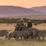 best time to see the great migration