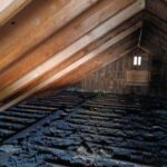 How to Find the Best Certified Home Inspectors Near You